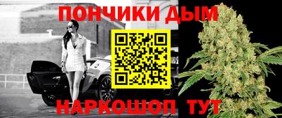 стаф Моздок