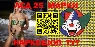 индика Можайск