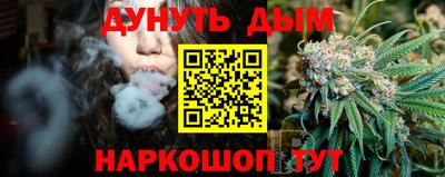 индика Можайск