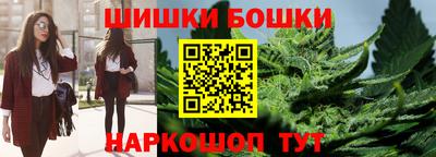 стаф Моздок