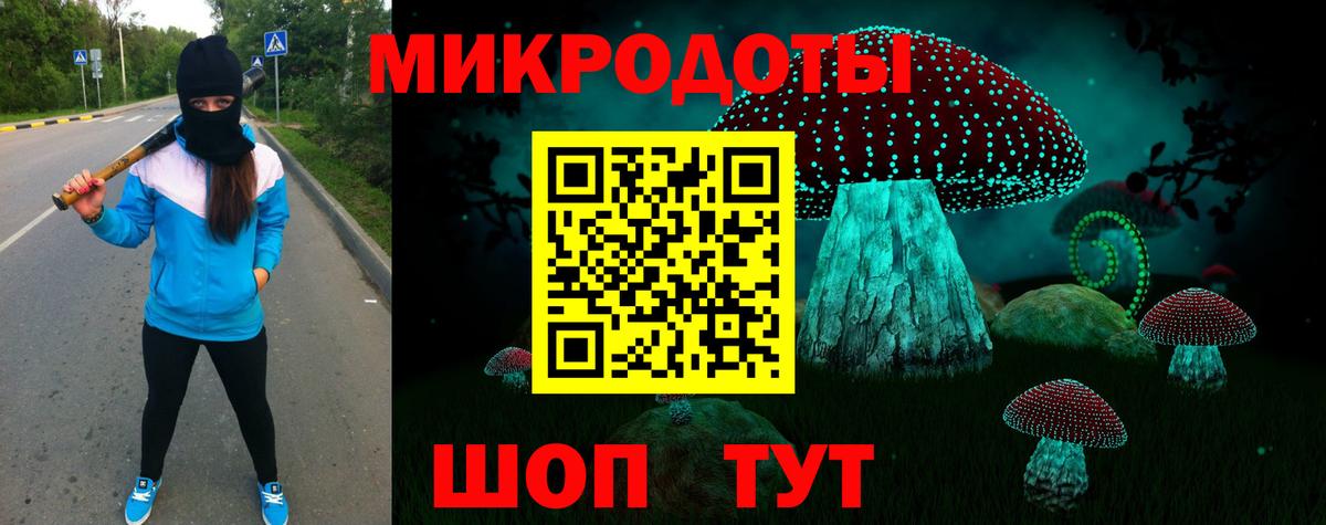 Псилоцибиновые грибы Cubensis Омск