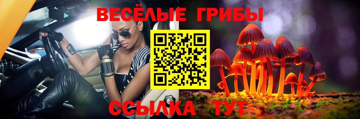 Галлюциногенные грибы Psilocybe  Вход с VPN  Омск 